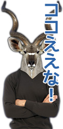 おすすめ出来るところ