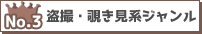 盗撮・覗き見系
